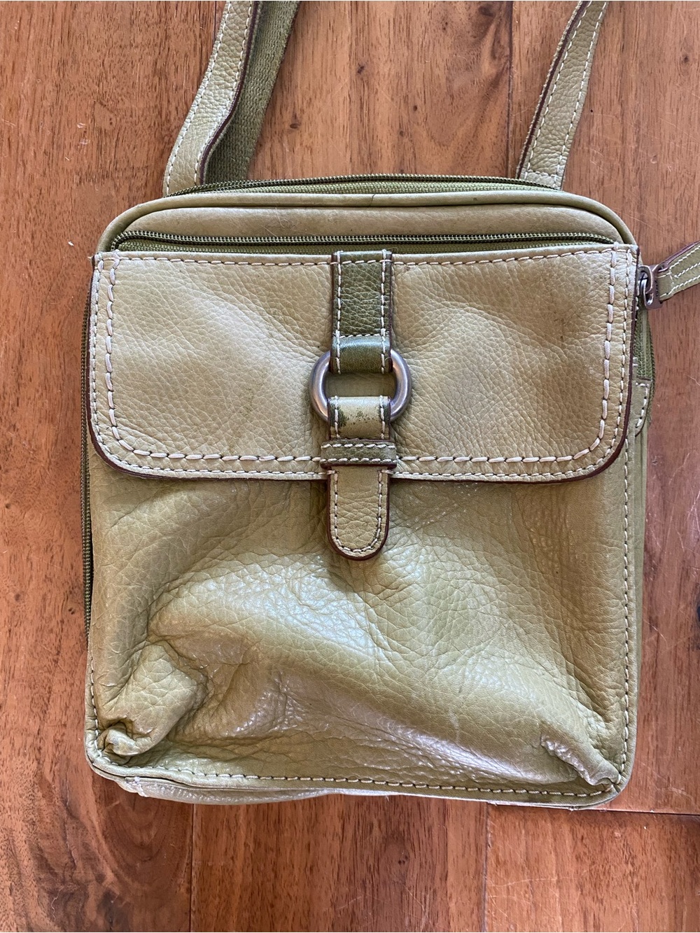 Fossil Leather Crossbody Bag in Olive Green